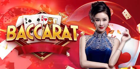 11xplay. com|11xplay .